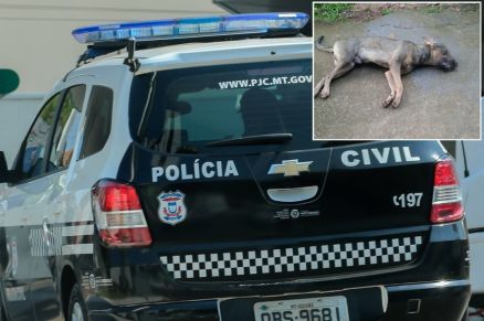 O caso foi registrado como maus-tratos a animais e � investigado pela Pol�cia Civil