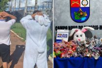 �Coelhinho� � preso com ovo de P�scoa para atrair menores a fac��o