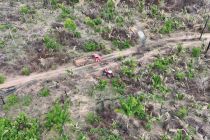 Desmatamento ilegal avan�a e reacende conflito agr�rio em MT