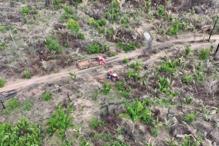 A Gleba Pelissioli � localizada em Santa Terezinha