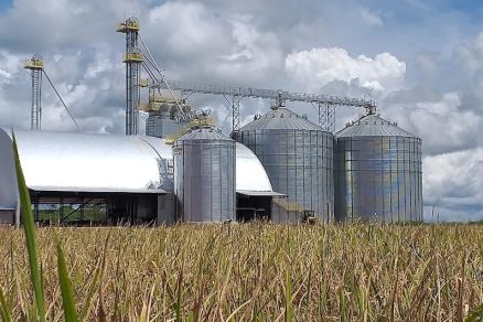 O saldo em aberto ultrapassa 68 mil sacas de soja, o que motivou a ado��o de medidas judiciais para garantir a recupera��o do cr�dito