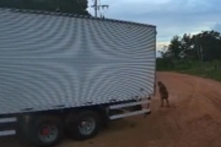 Idosa atravessava a rua em frente de casa quando foi atropelada 