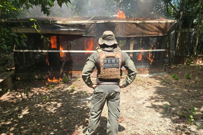 A��o prende 4 e derruba constru��es �s margens do Rio Cuiab�