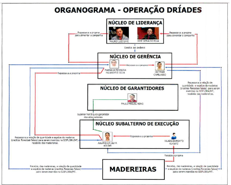 organograma driades