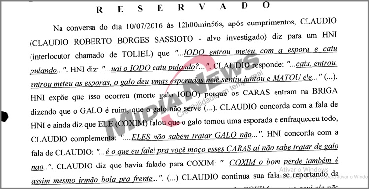 print rinhas de galo claudio sassioto