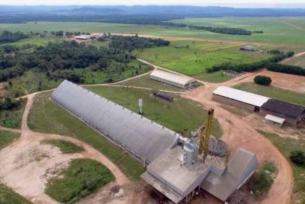 Fazenda Boi Gordo