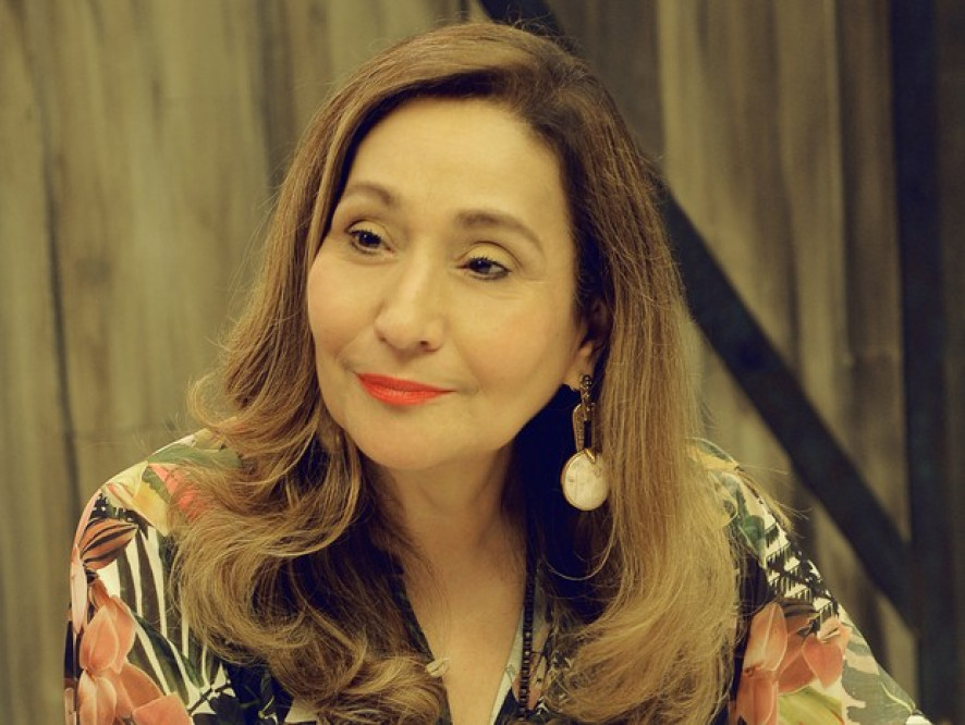 MidiaNews | Sônia Abrão sobre câncer: "Vivo com a sombra ...