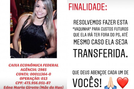 Montagem - vaquinha