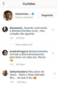 print shwan