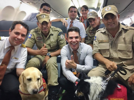 bombeiros mt brumadinho
