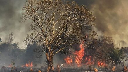 incendio pantanal