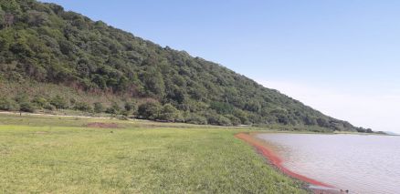 baia de chacororé