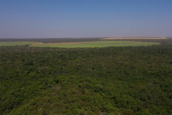 FAZENDA ITAMARATI