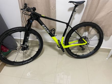 Caloi elite Carbon Racing