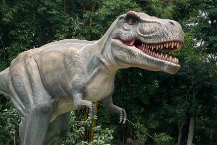 Dinossauro exposiÃ§Ã£o 