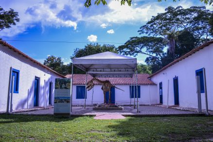 Museu de HistÃ³ria Natural 