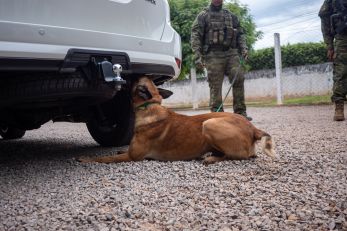 Canilfron - Cáceres