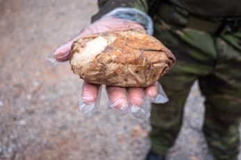 Cocaina apreendida usada para treino