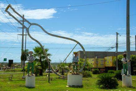 RotatÃ³ria da Viola de Cocho no Jardim Imperial