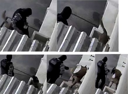 Pres&iacute;dio Ferrugem - Sinop