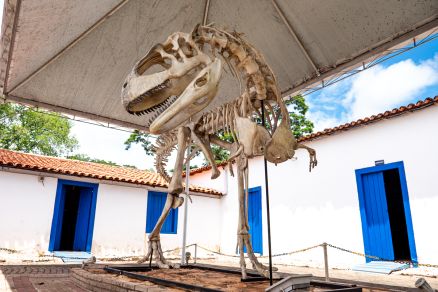 R&eacute;plicas de f&oacute;sseis no Museu de Hist&oacute;ria Natural