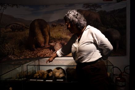Exposi&ccedil;&otilde;es no Museu de Hist&oacute;ria Natural