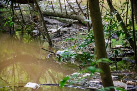Lixo acumulado no Rio Cuiab&aacute;